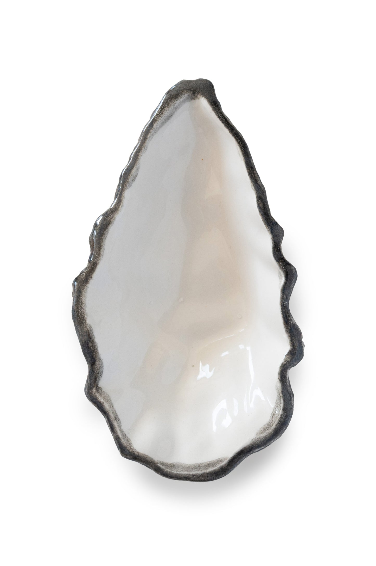 Ostrica